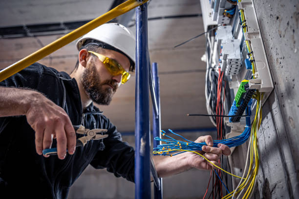 Best Residential Electrician Services  in Walkerton, IN